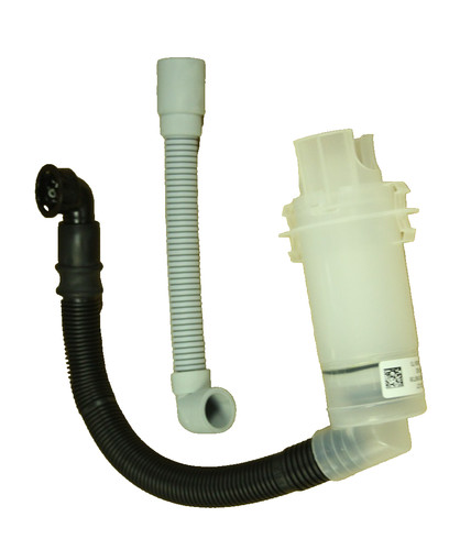 Glow worm 0020195528 - glow-worm, siphon