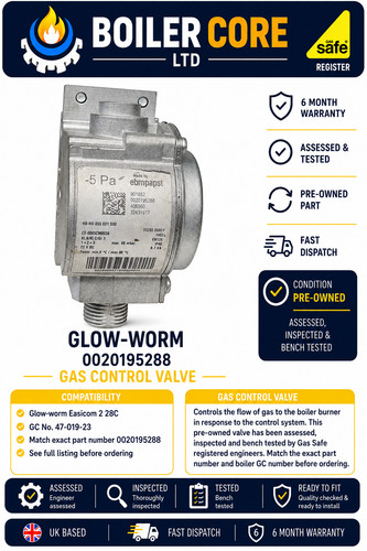 Glow worm 0020195288 - glow-worm, gas